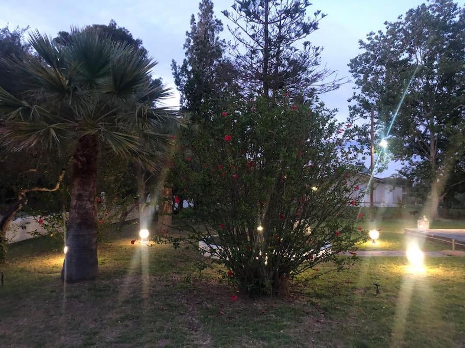 Villa Anastasia! In Strofylia Pine Forest!!! Manolas Экстерьер фото