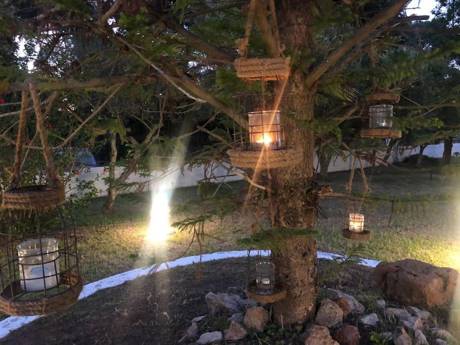 Villa Anastasia! In Strofylia Pine Forest!!! Manolas Экстерьер фото