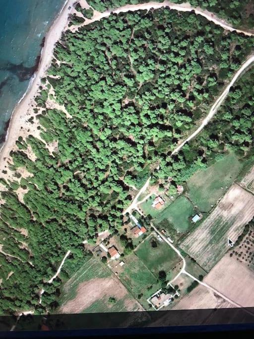 Villa Anastasia! In Strofylia Pine Forest!!! Manolas Экстерьер фото