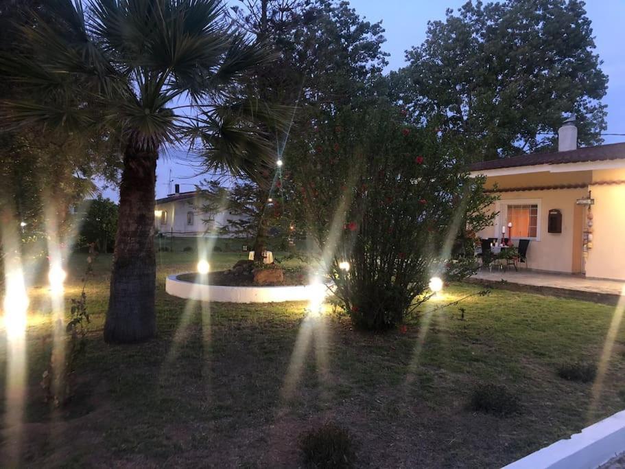 Villa Anastasia! In Strofylia Pine Forest!!! Manolas Экстерьер фото