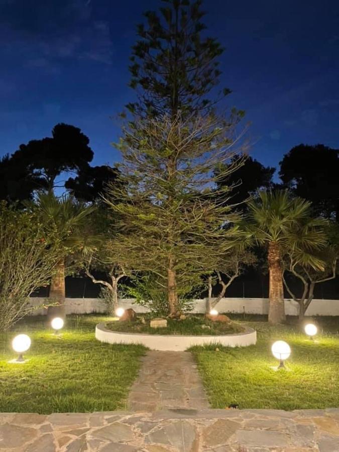 Villa Anastasia! In Strofylia Pine Forest!!! Manolas Экстерьер фото